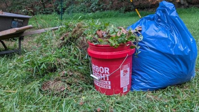 "I've been dealing with them for a few years."