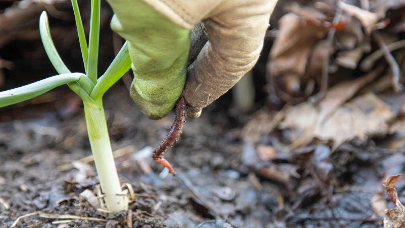 "Must have been super cool to watch."