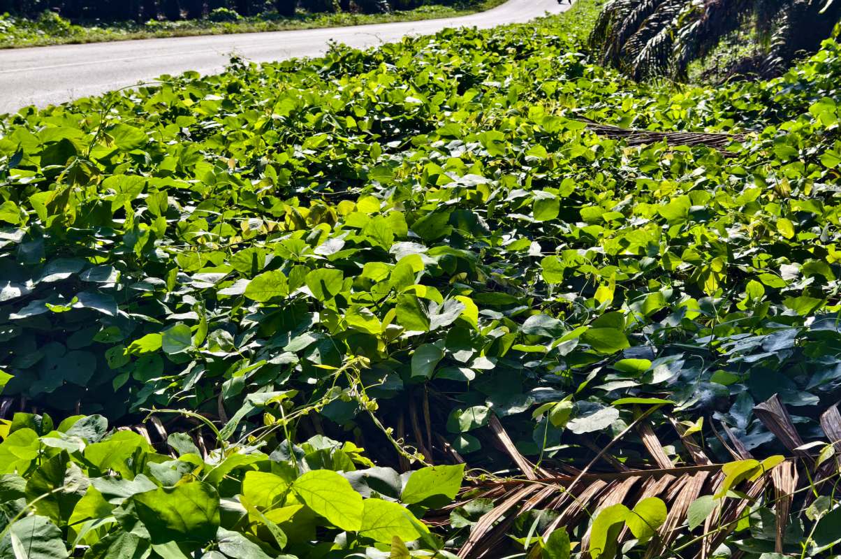 "They did an amazing job!"