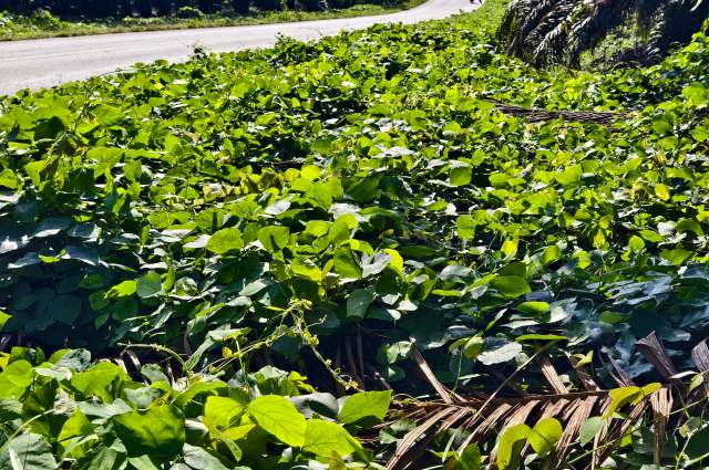 "They did an amazing job!"