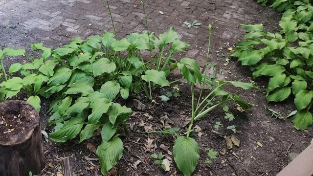 Commenters on the Reddit post had suggestions.