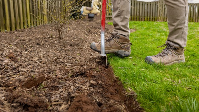 "Save your dollars and save yourself from the inevitable headache."