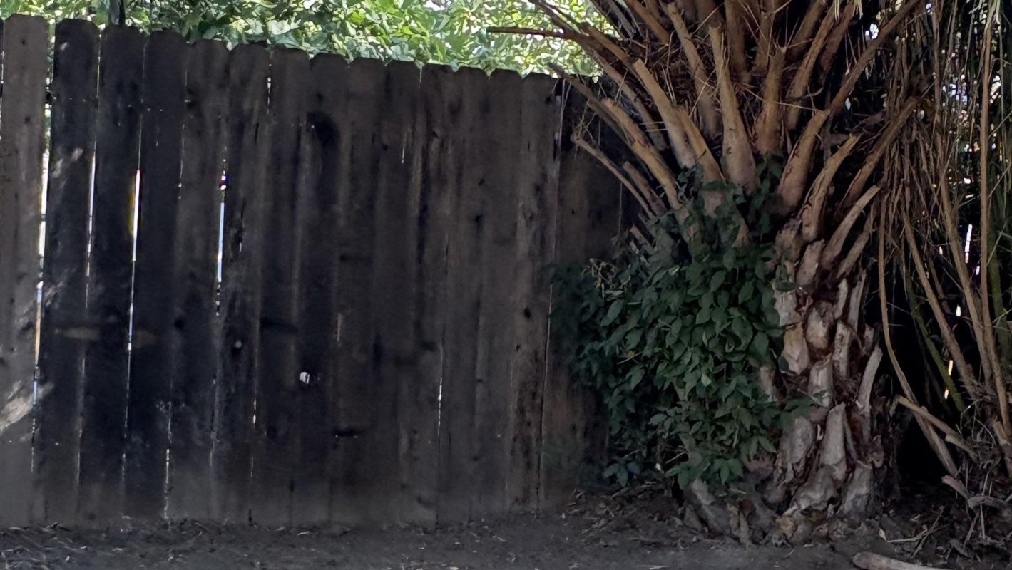 "You'll be swearing at [it] in five years' time."