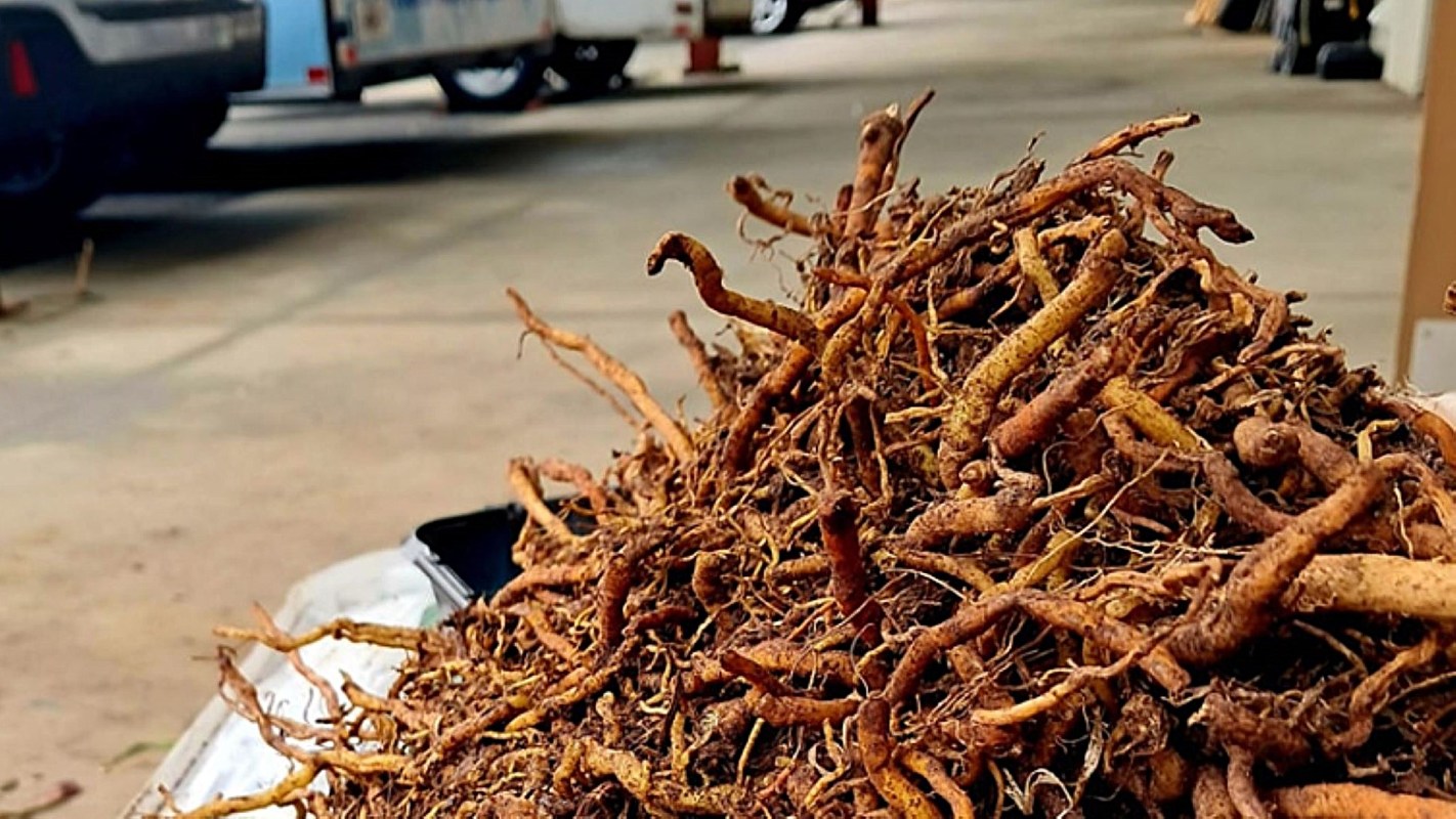 "That's good to know!"