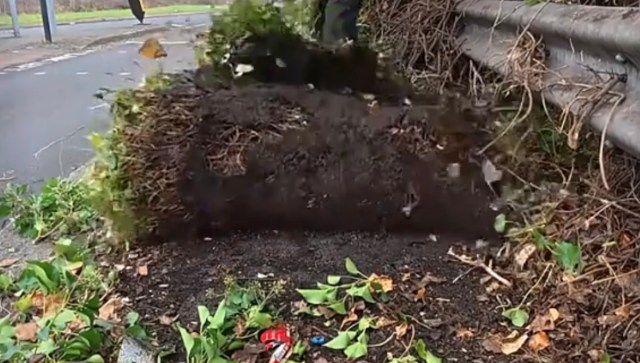 Viewers were quick to praise the efforts.