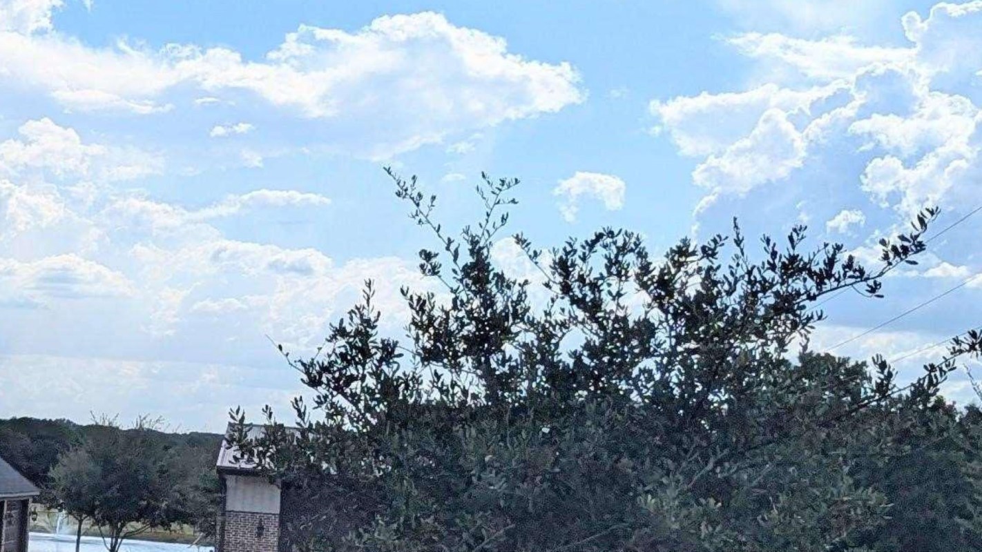 Reddit commenters were flabbergasted.