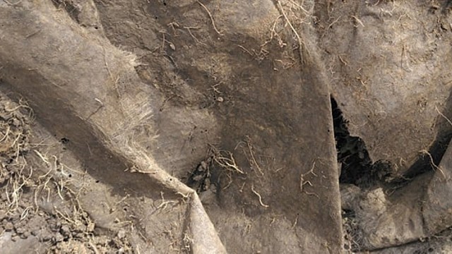 According to the landscaper, their crew has seen this problem play out many times.