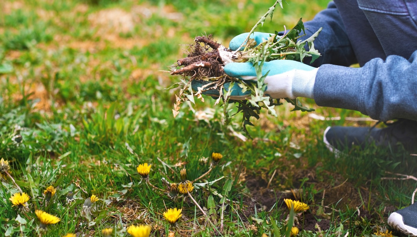 "Good luck removing it."