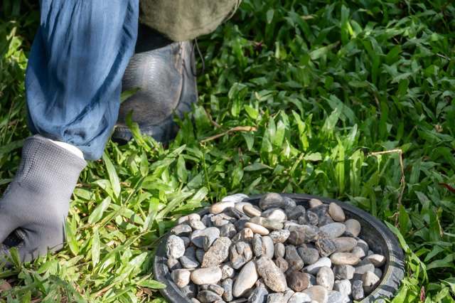 "Less than useless."