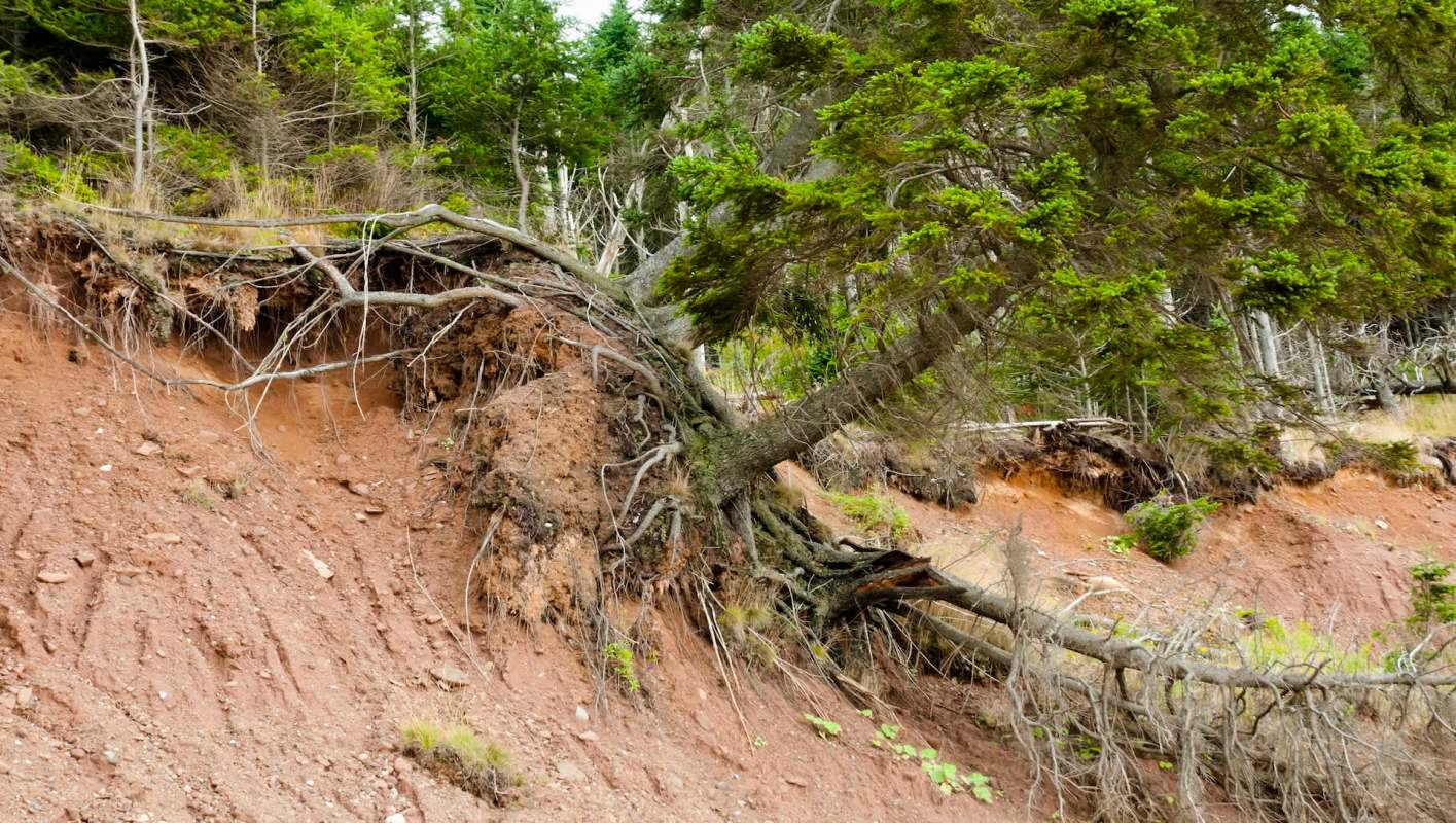 "In the aftermath of a disaster, time really matters."