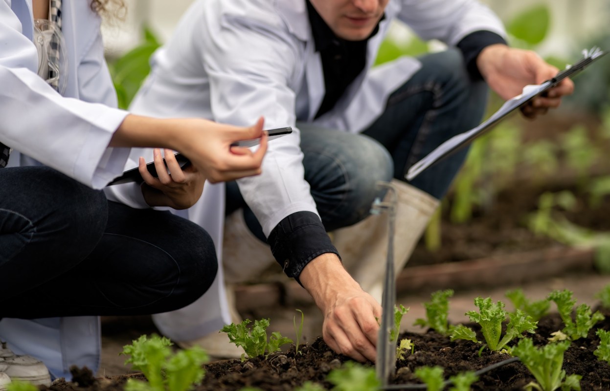 "At quite advanced stages now."