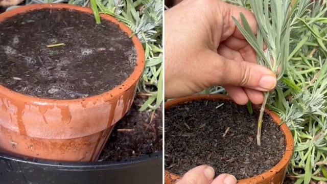 "Great information."