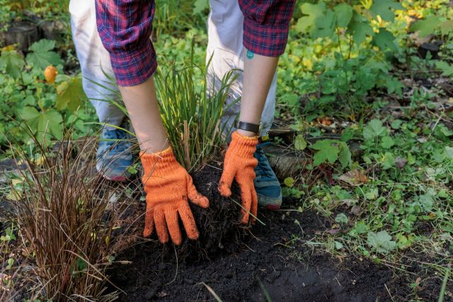 The program is aimed at reducing water use.