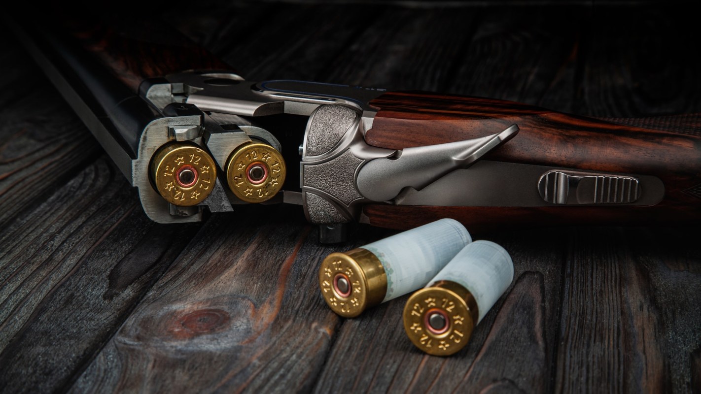 The program addresses a serious issue.