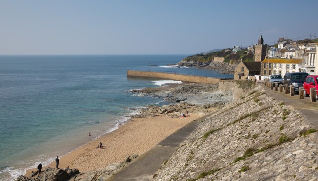 "Their long pectoral flippers make them prone to becoming entangled."