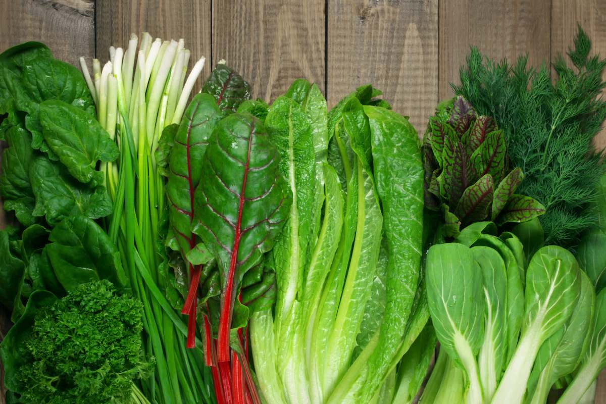 It earned a lot of praise.