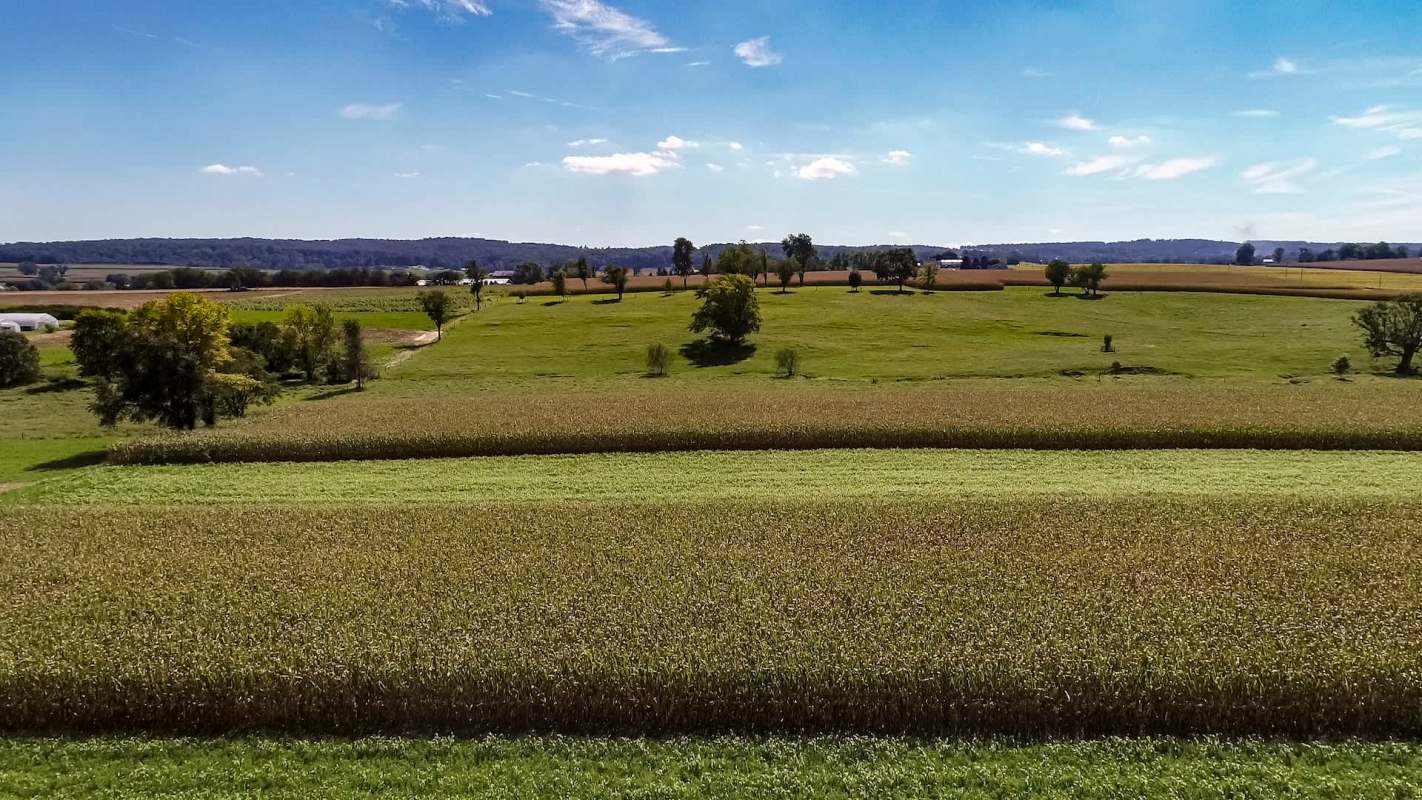 "There is growing scientific consensus."