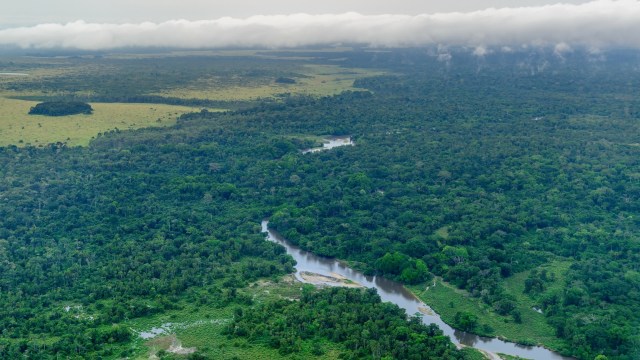 Wildlife cameras have become important instruments for scientists.