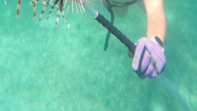 "That looks delicious."