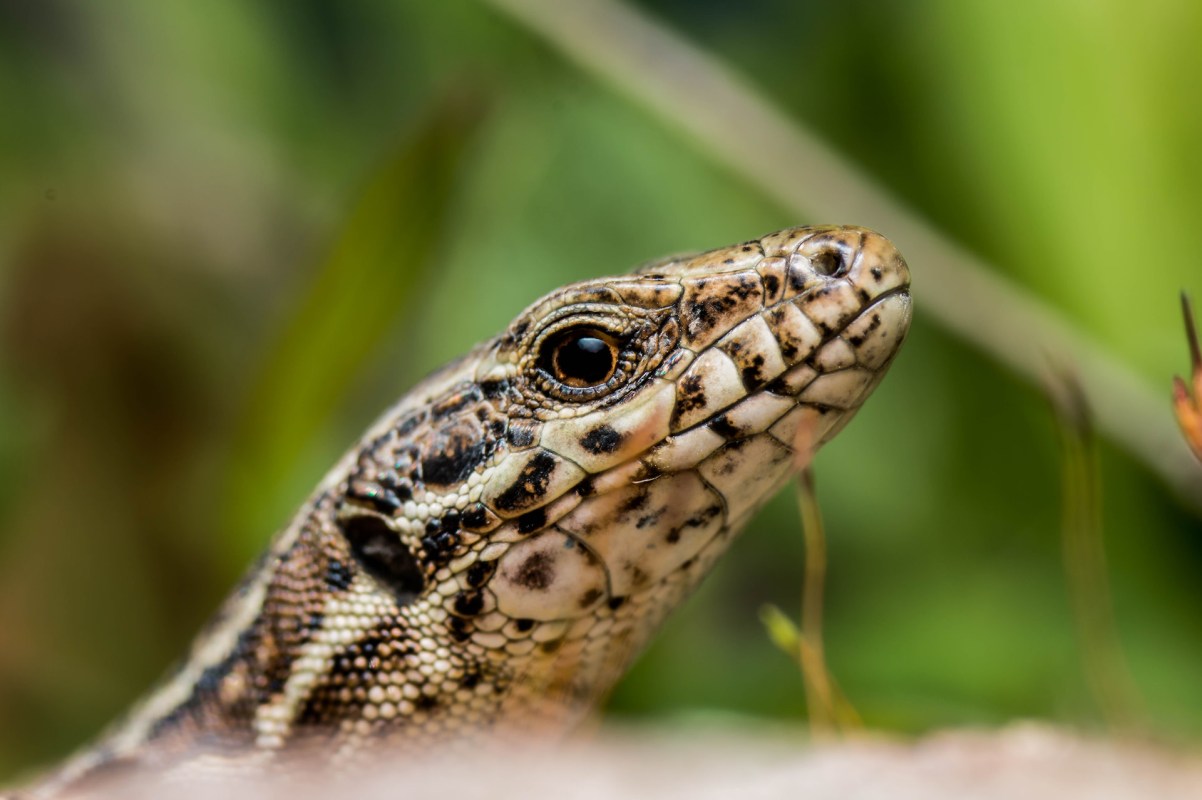 "These results bring us closer to unraveling the mechanisms."