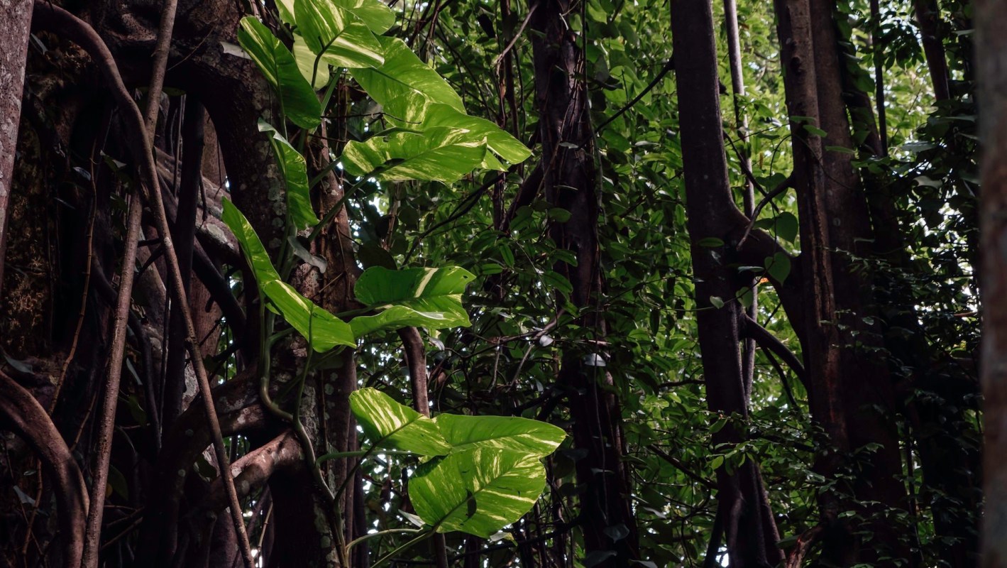 There are steps people can take to prevent this.