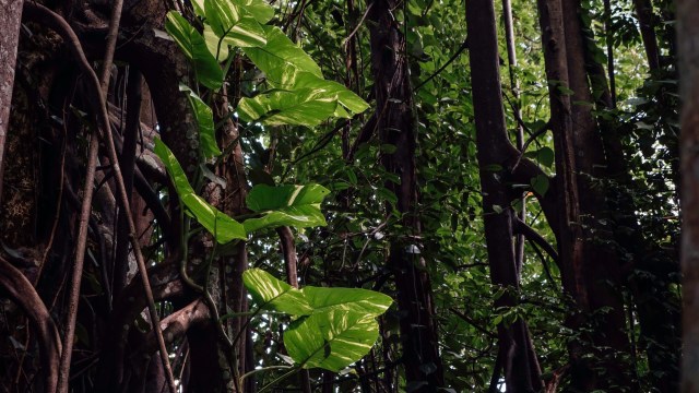 There are steps people can take to prevent this.