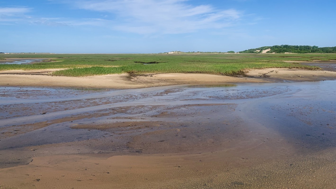 Thankfully, this isn't a hopeless situation.