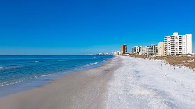 "It’s just so hard to see an animal go through that."