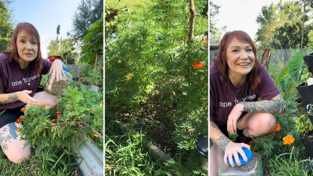 "The best way to grow your garden year after year."