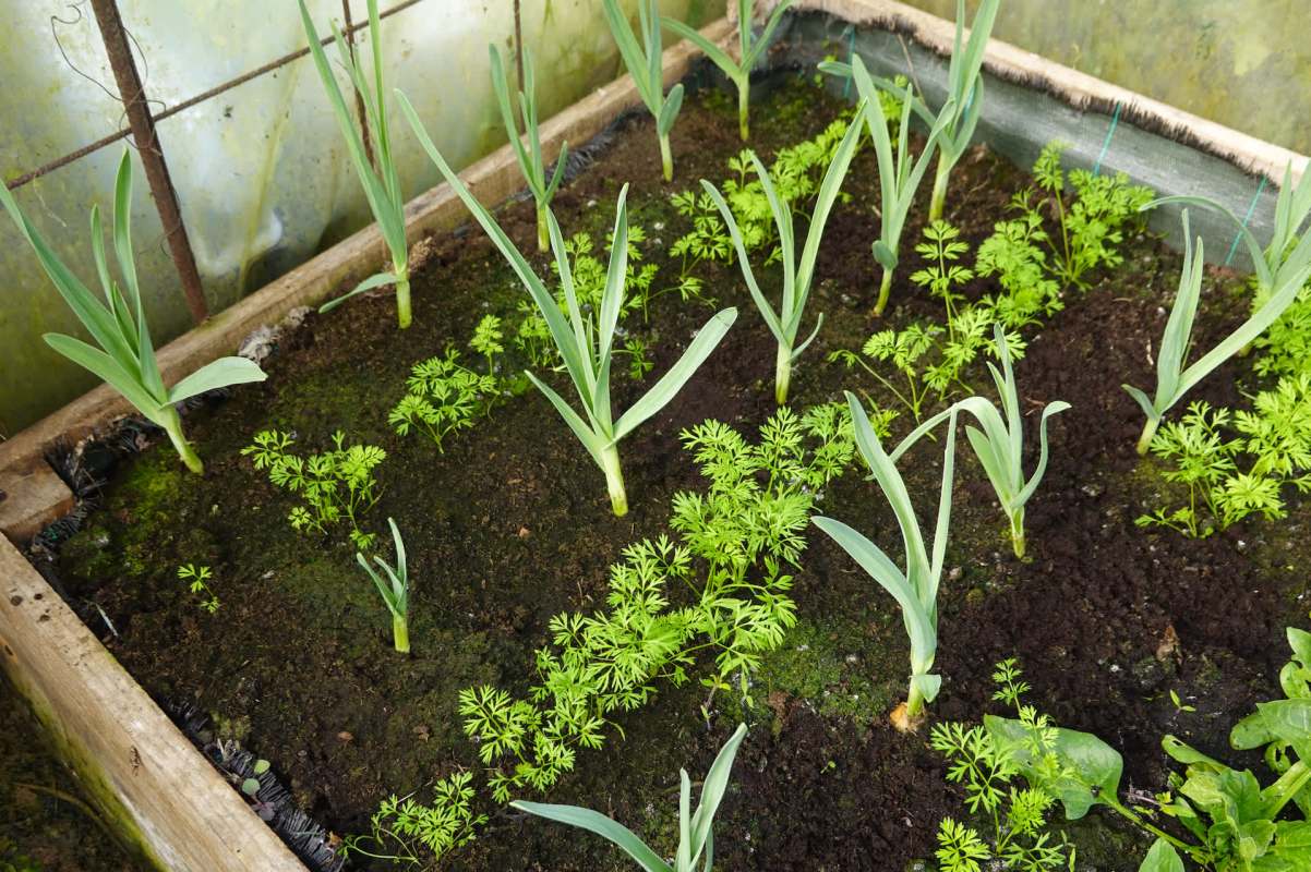 "They don’t like the smell,” she explained.