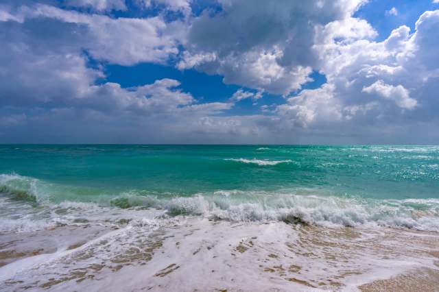 "Exploring that whole space."