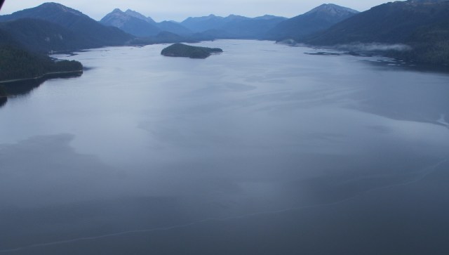 "It’s on everything."