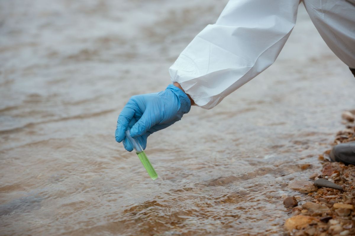 "Opens new pathways."