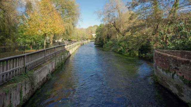 "That's a little bit scary and a little bit of an unknown."