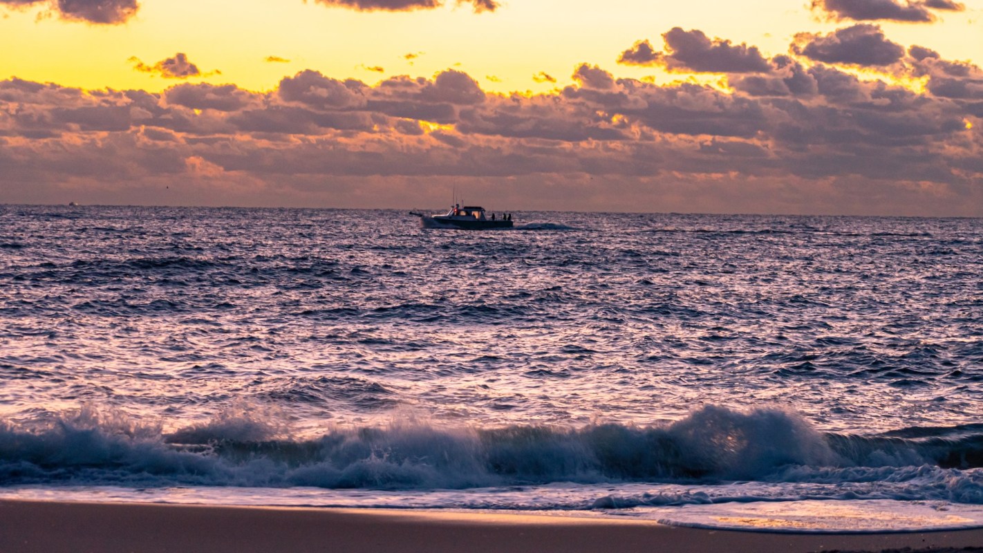 "People need to learn to leave wildlife alone."