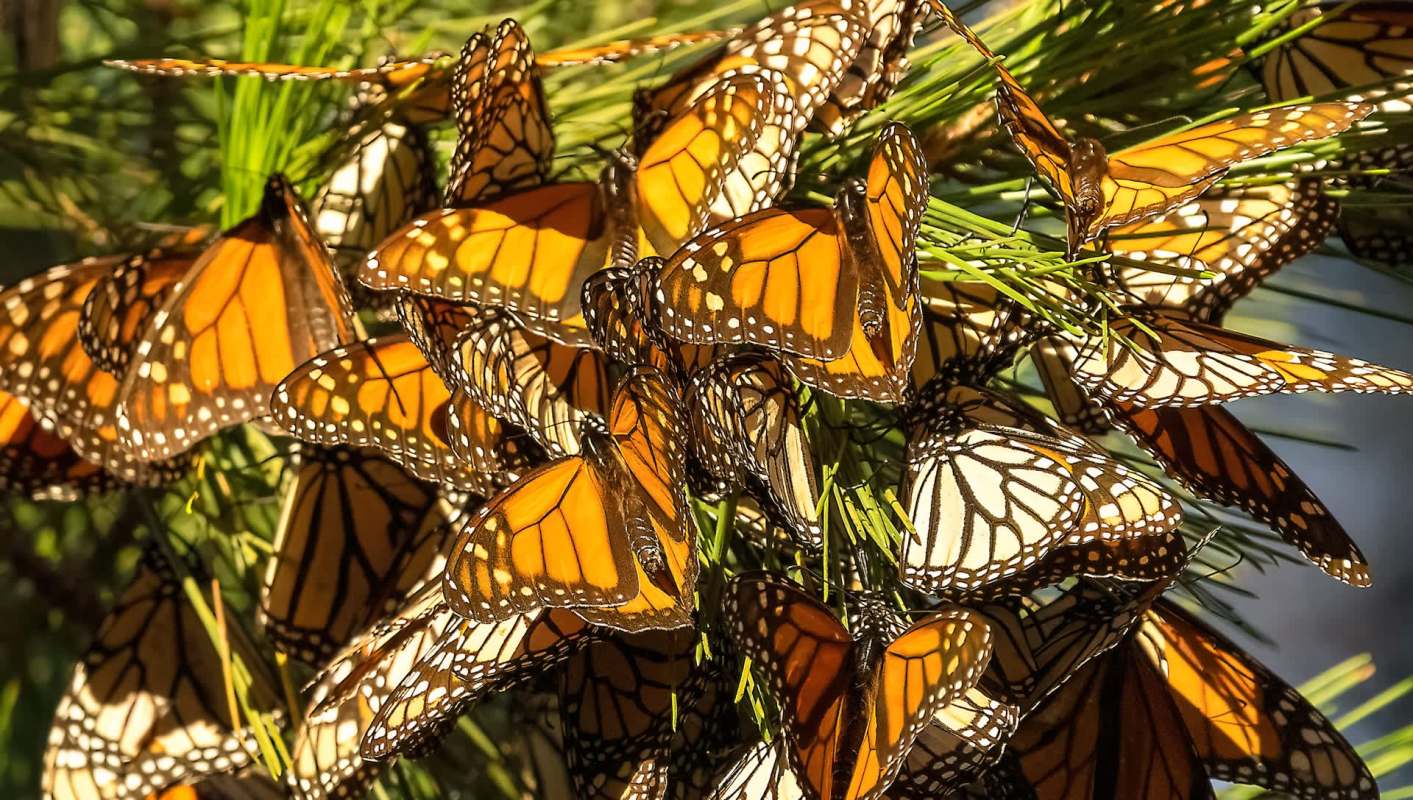 "Should have an impact."