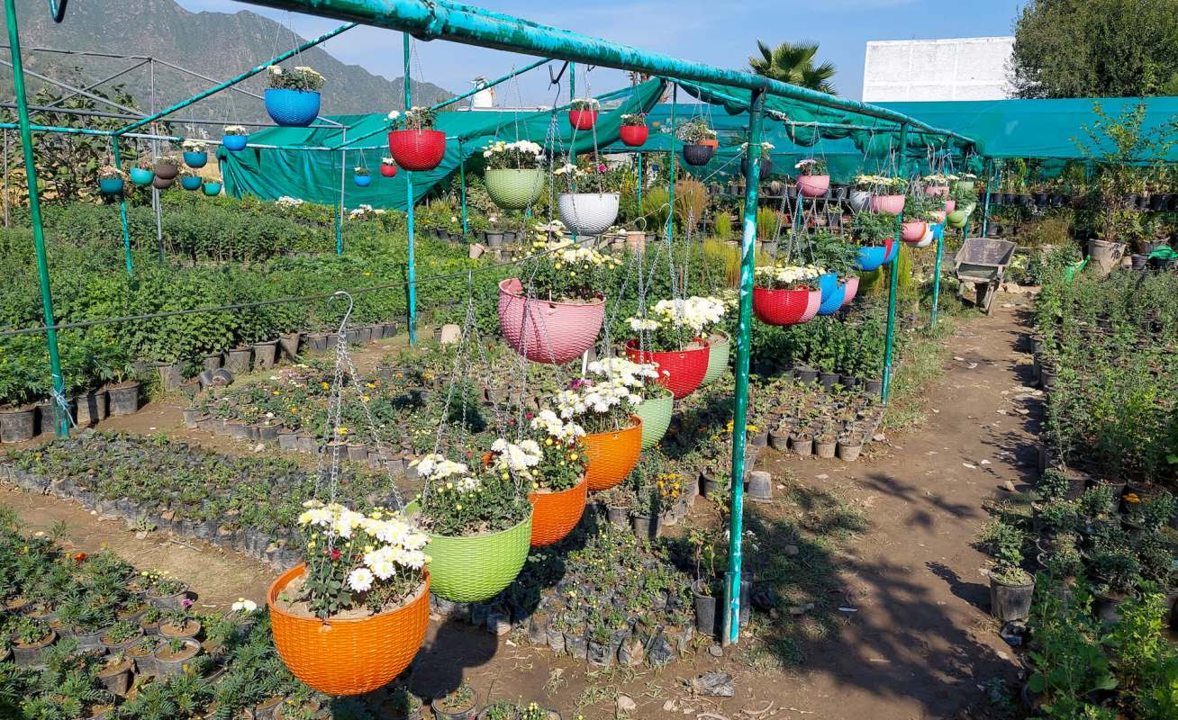 "It is just very sad."