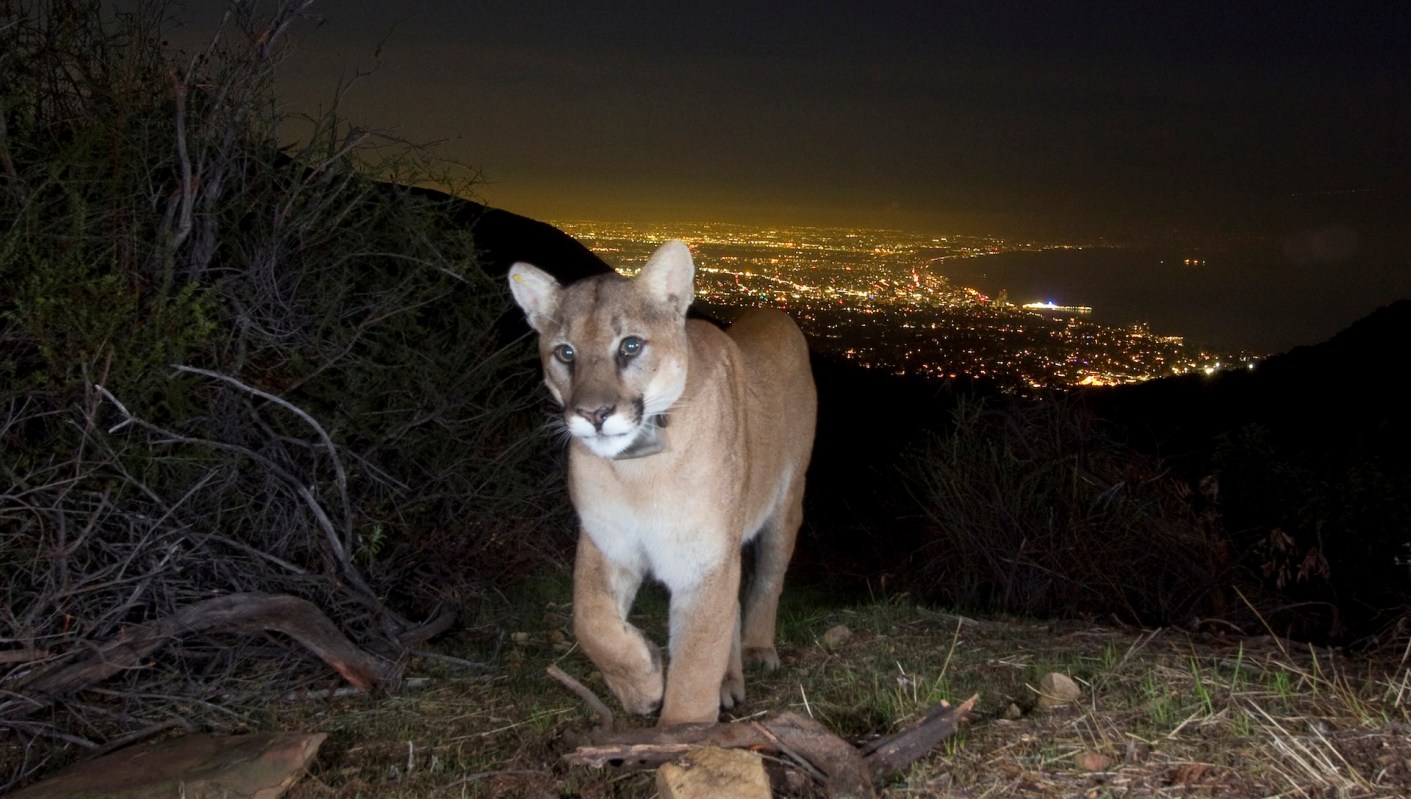 The child was taken to the hospital for treatment.