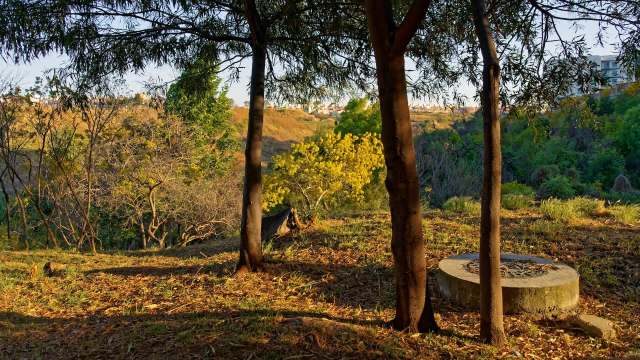 He was looking at his phone before noticing the creature.