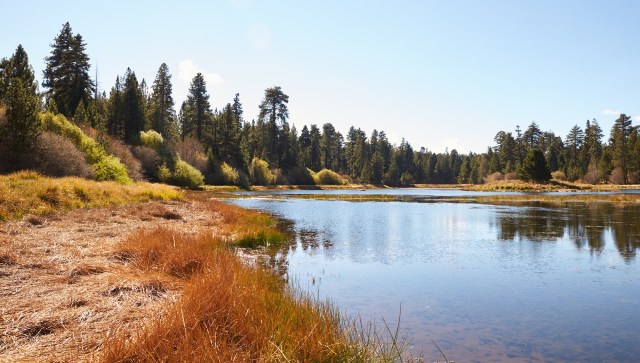 "Incredibly exciting."