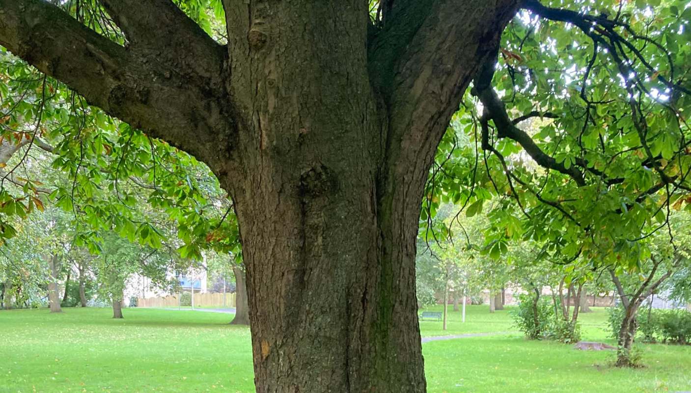 Other Reddit users were delighted with the trolling.