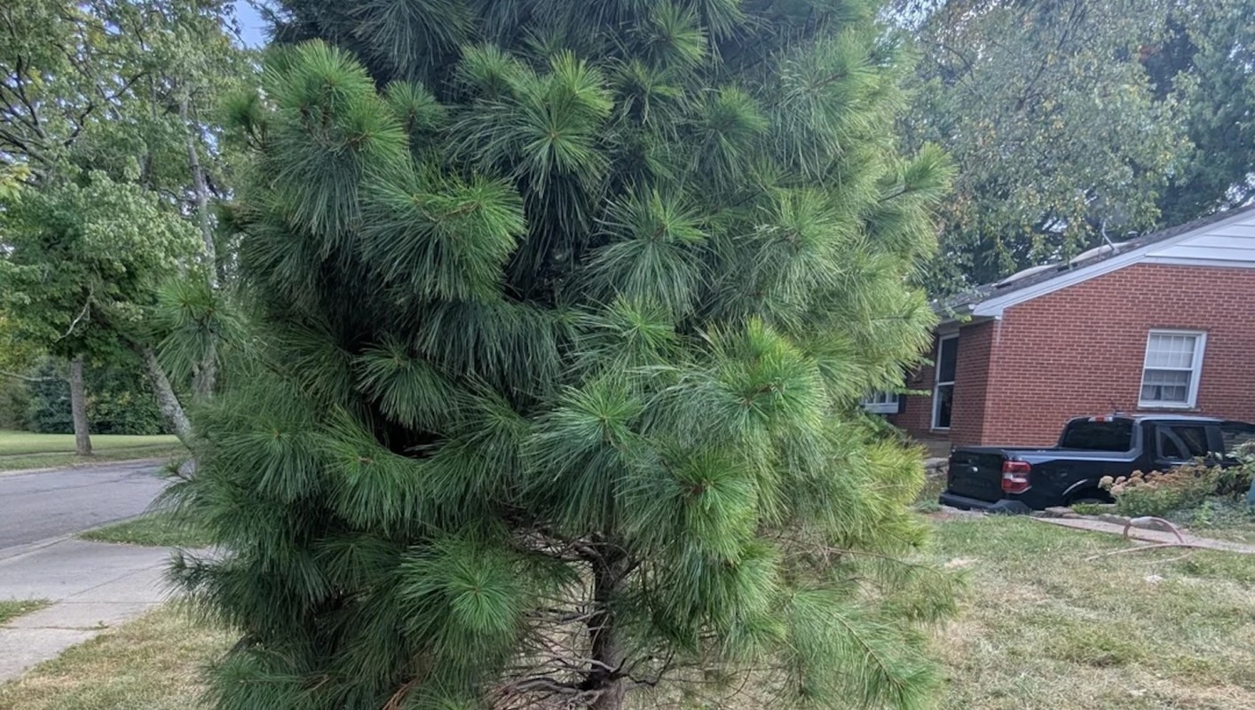 "Most people here will question whether you're trolling us/baiting us."