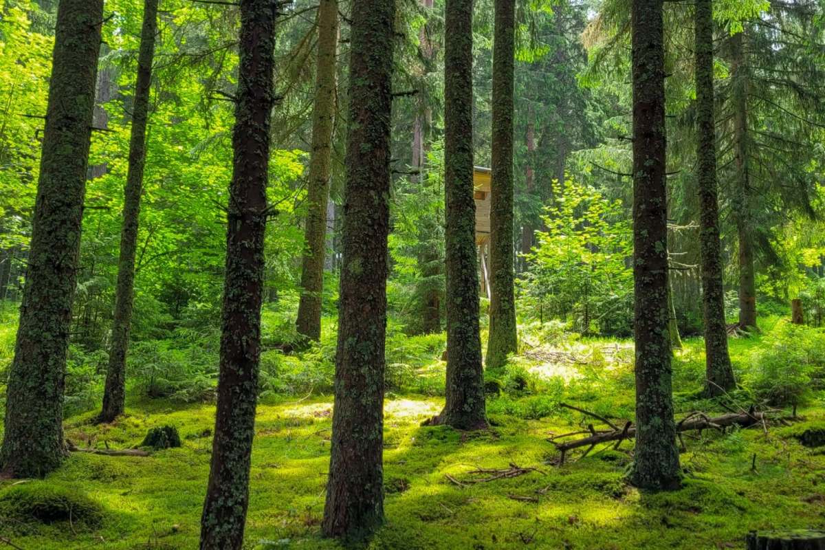 "We’re wondering what the impacts are going to be."