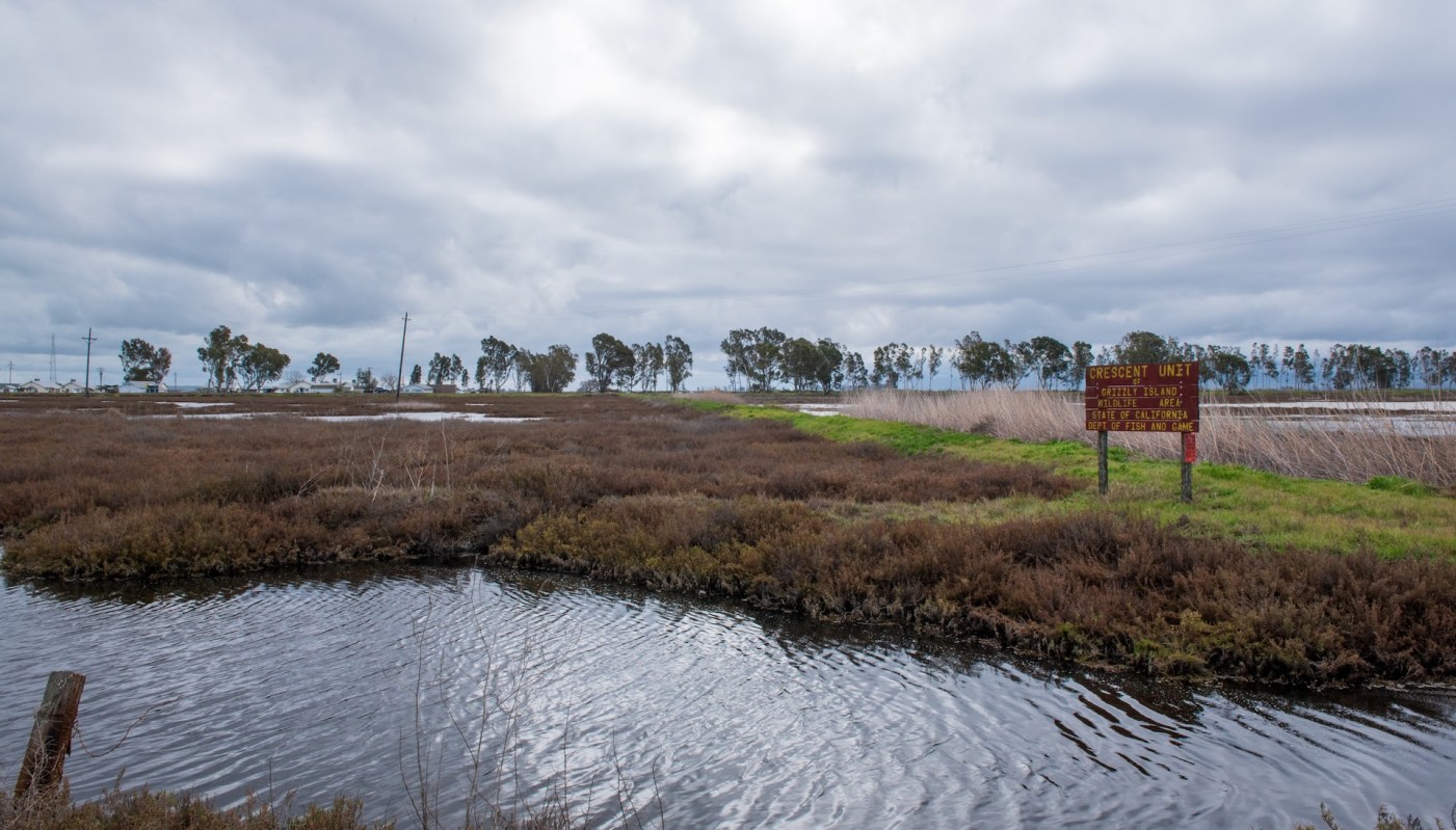 "We want to get ahead of the problem."