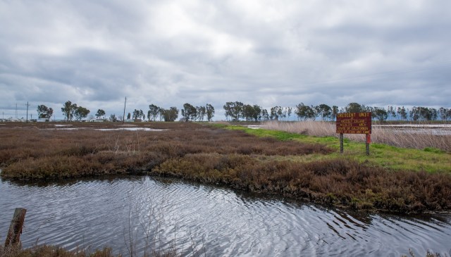 "We want to get ahead of the problem."