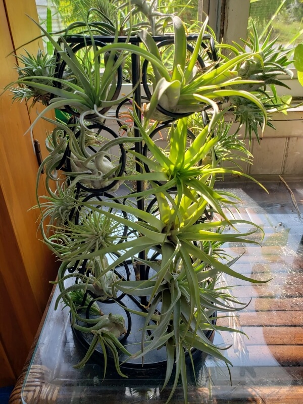 "What a fantastic idea!"