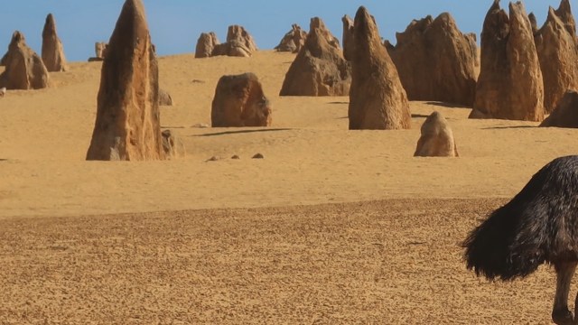 "What did we learn today?"