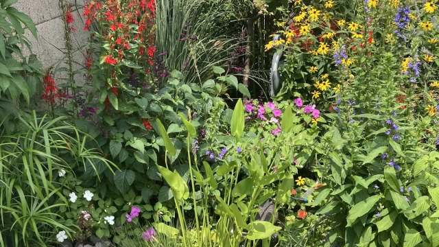 "I’m sure the wildlife thanks you."