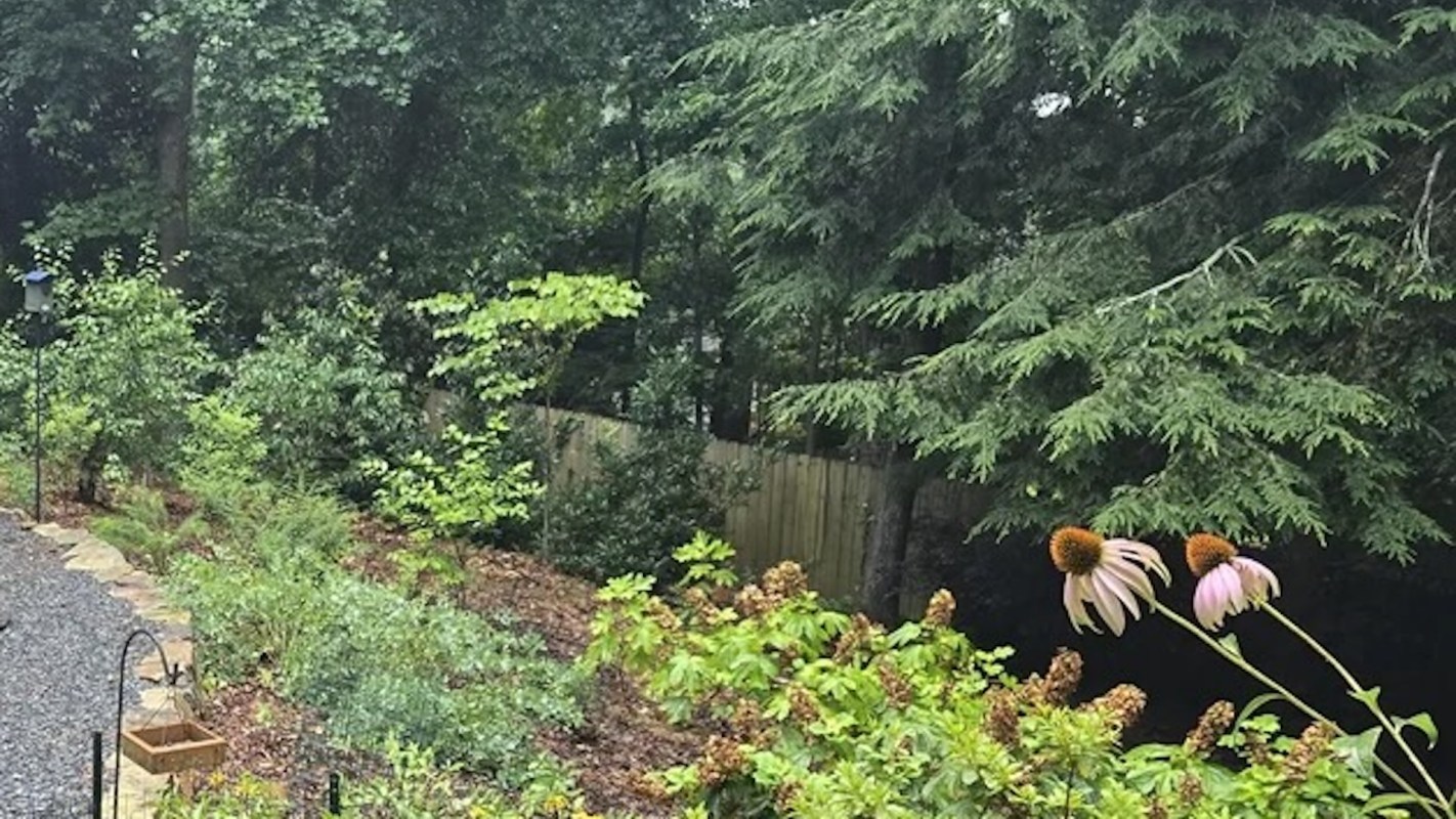 "I feel like Snow White while I'm working in the kitchen."