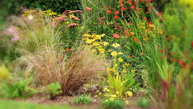 "I personally think the proposal is fantastic."